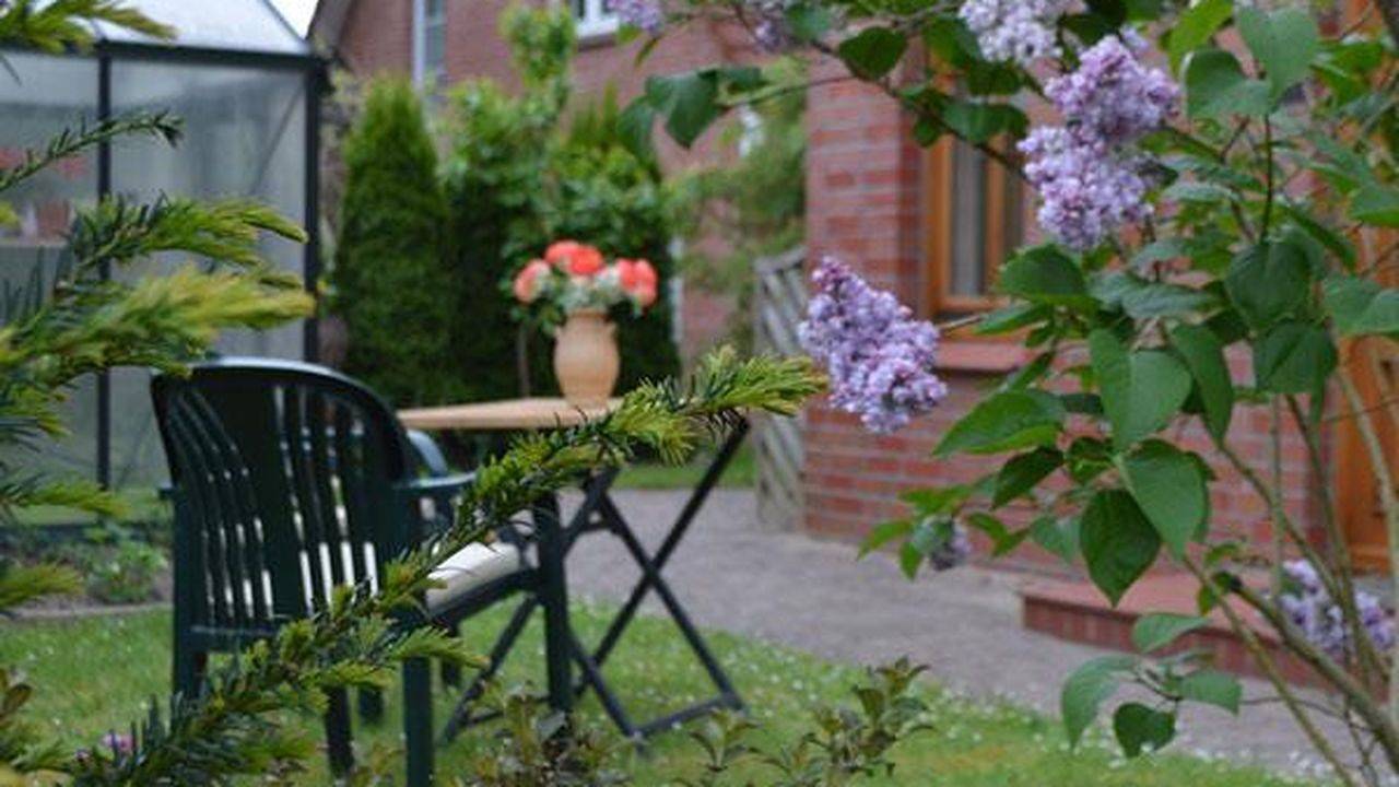 Ganze Ferienwohnung, Ferienwohnung für 3 Personen (45 m²) in Tespe in Tespe, Landkreis Harburg