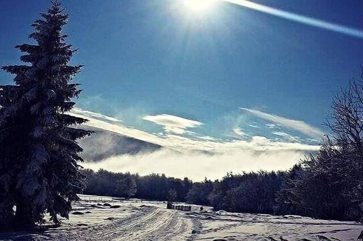 Gîte pour 6 personnes, avec terrasse, animaux acceptés dans Station De Gerardmer