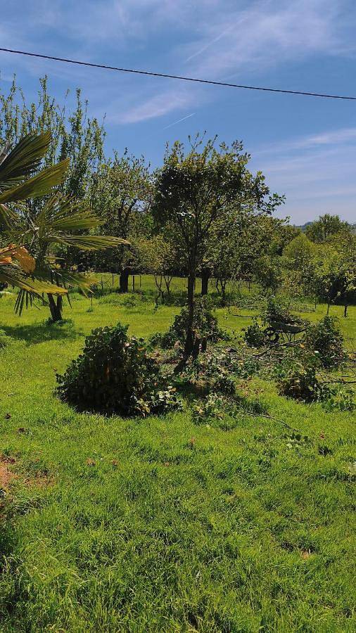 Location de vacances pour 4 personnes, avec jardin à Cléguérec - 2
