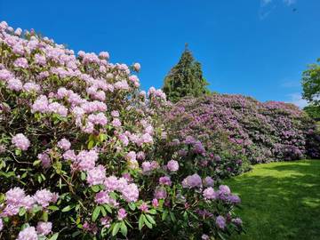 Ferieudlejning til 6 Personer i Havnsø, Nordwestseeland, Billede 2