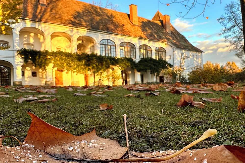 Ganze Wohnung, Exklusive Schloss Wohnung - 170m² purer Luxus - Nähe Bad Blumau & Loipersdorf in Fürstenfeld, Steirerland