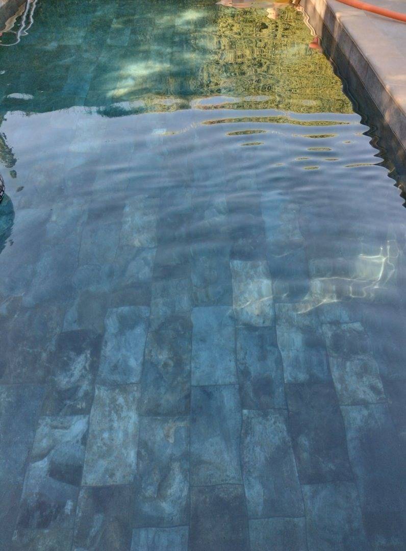 Tamaris - Gites Les Floralies en Provence in Malaucène, Parc naturel régional du Mont-Ventoux