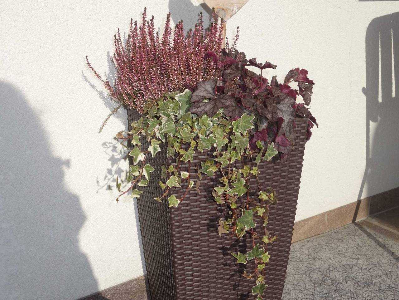 Ganze Wohnung, Gästehaus Moosbrugger - Ferienwohnung 4 in Hittisau, Bodensee-Vorarlberg