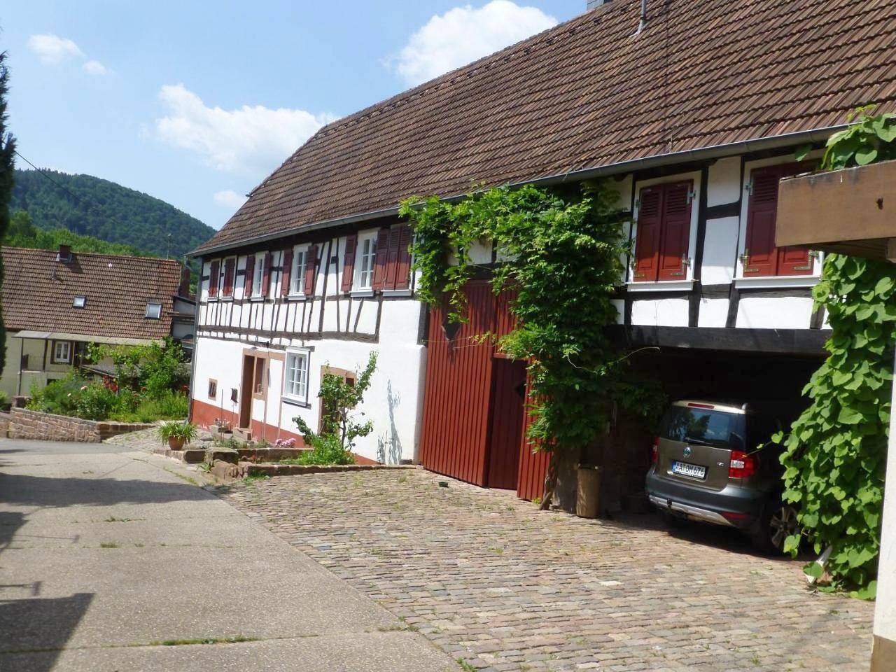 Ganze Wohnung, Apartment in Erlenbach bei Dahn, Landkreis Südwestpfalz