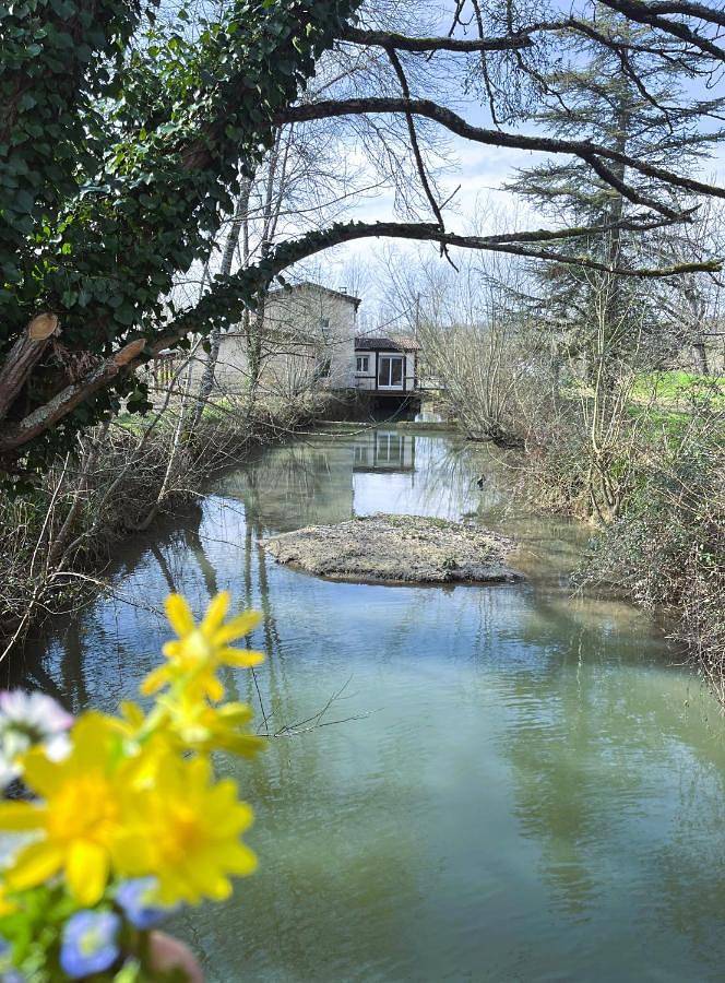 Location de vacances pour 4 personnes, avec terrasse ainsi que jardin et vue à Savignac-de-Duras - 3