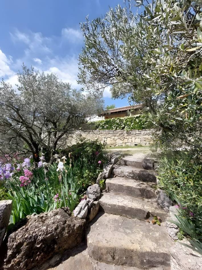 Location de vacances pour 4 personnes, avec jardin, animaux acceptés à Bessas - 3