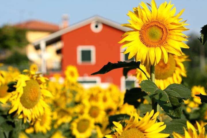 B&b per 3 persone, con Terrazza a Osimo