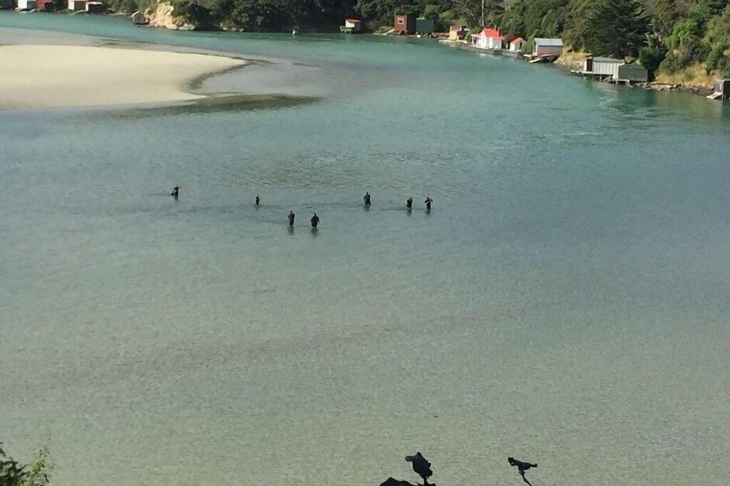 Ikonenhaftes historisches Küsten-Häuschen in Otago