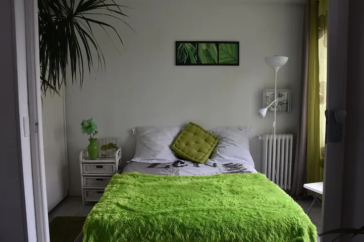 Appartement entier, Appartement lumineux parking gratuit proche bois Château Lac Paris Disney métro in Vincennes, Val-de-Marne
