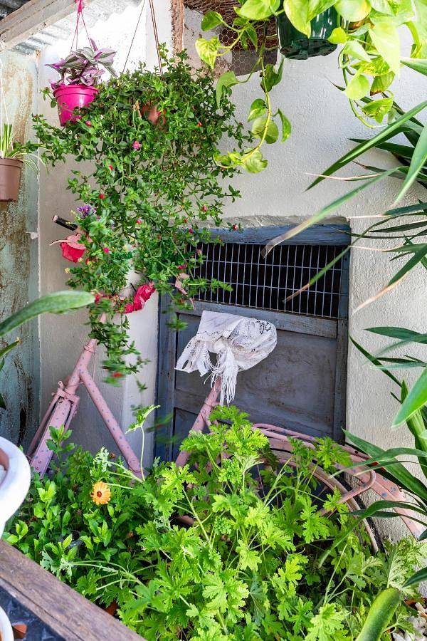 Casa de vacaciones para 7 personas, con vistas además de jardín y piscina, Se admiten mascotas en Provincia de Zaragoza - 4