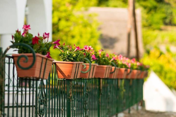 Location de vacances pour 2 personnes, avec jardin et terrasse à Szigliget - 3