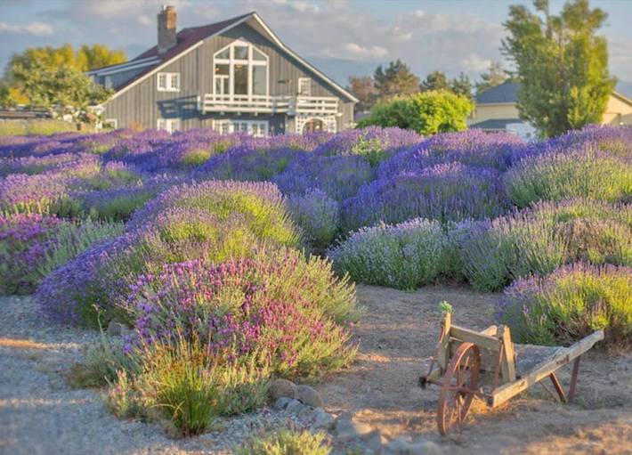 Alojamiento y desayuno para 2 personas, con vistas y jardín en Estados Unidos