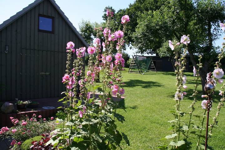Ferienwohnung für 5 Personen, mit Sauna und Seeblick sowie Garten in Bünsdorf - 2