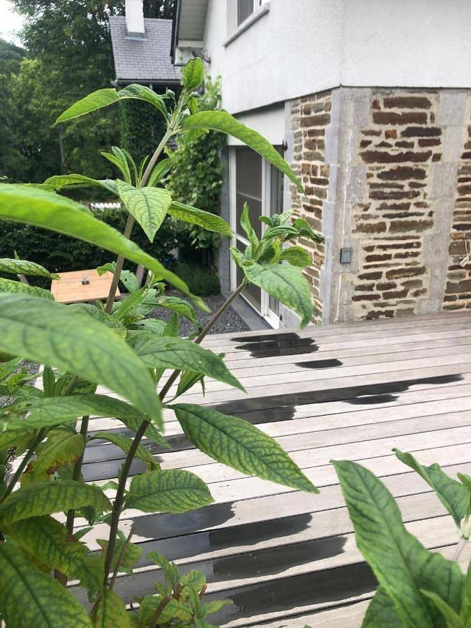 Location de vacances pour 4 personnes, avec jardin à Spa - 3
