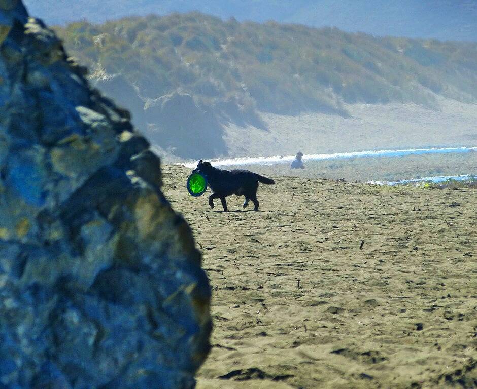 Vacation House for 8 Guests in Dillon Beach, Tomales Bay
