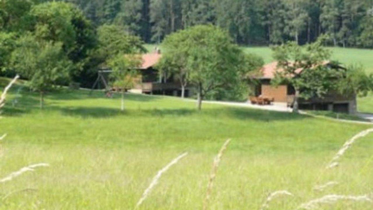 Ferienhaus für 4 Personen (65 m²) in Mossautal in Mossautal, Odenwaldkreis