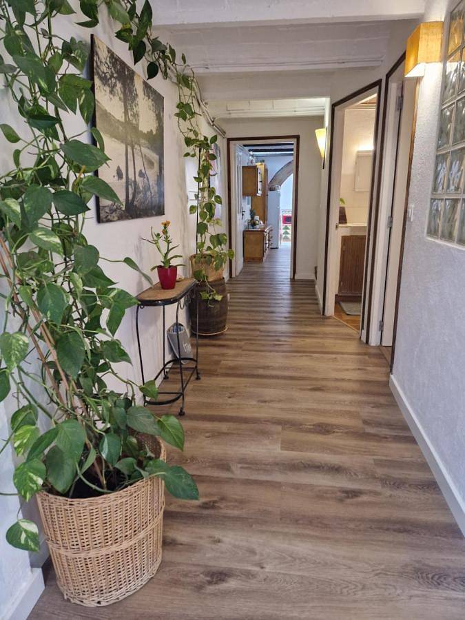 Gîte pour 3 personnes, avec terrasse, animaux acceptés à Bellcaire d'Empordà - 4