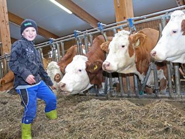 Ferienhaus für 5 Personen in Nauderer Berge, Nauders, Bild 4