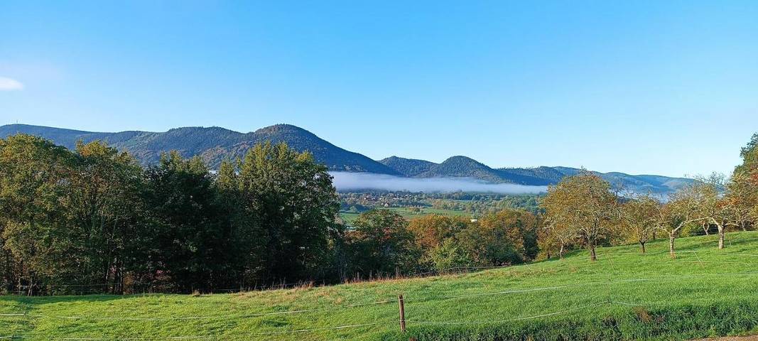 Location de vacances pour 8 personnes, avec terrasse ainsi que vue et sauna, animaux acceptés dans Triembach-au-Val - 3