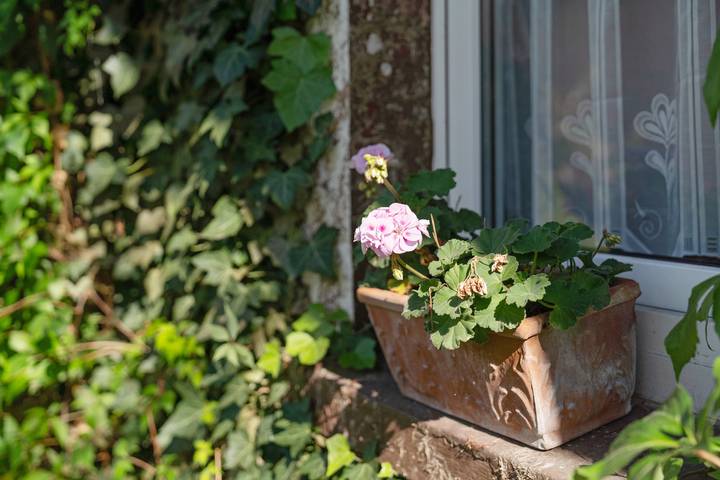 Ferienwohnung für 5 Personen, mit Garten in Balve - 3