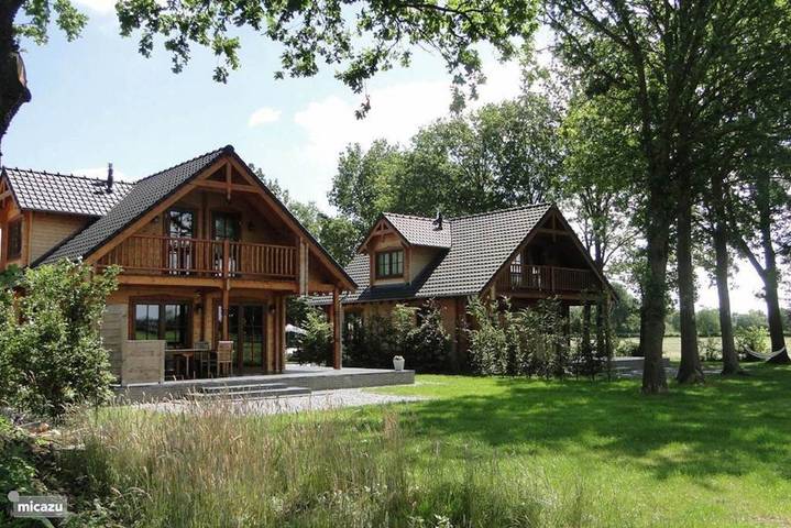 Luxury Wooden Villa Tine in Forested Area with Stunning Views of the Countryside in Den Ham, Twente