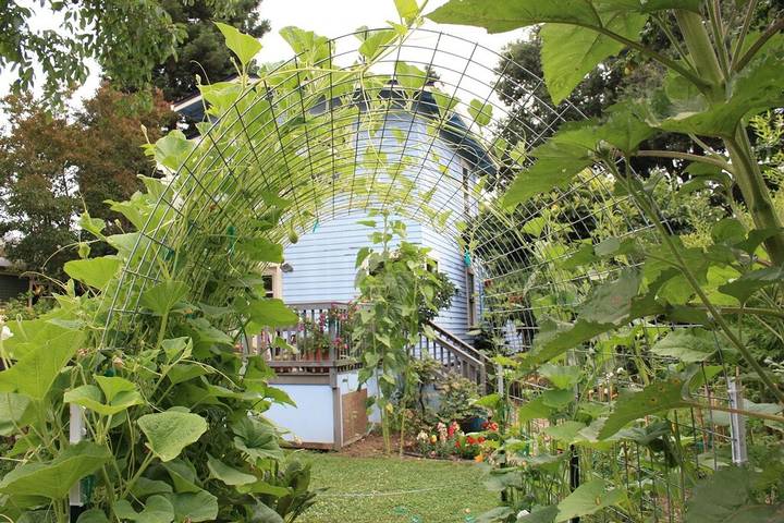 Location de vacances pour 4 personnes, avec jardin et terrasse à Napa - 3