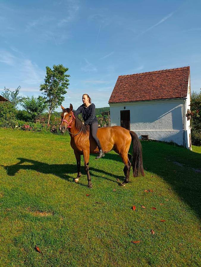 Ferienhaus für 2 Personen, mit Ausblick und Terrasse in Graz & Umgebung - 2