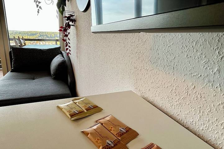 Ferienwohnung für 6 Personen, mit Sauna in Schonach (Dorf) - 2