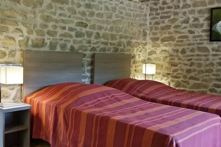 Location de vacances pour 12 personnes, avec jardin à Valsonne - 3