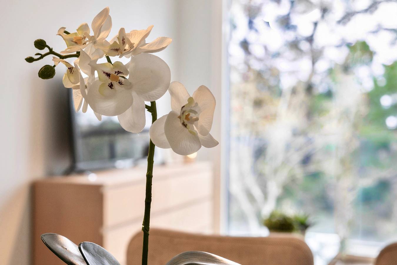 Entire apartment, Apartment 'Apart Jardines San Vicente' with Private Terrace, Wi-Fi and Air Conditioning in Moncloa-Aravaca, Madrid