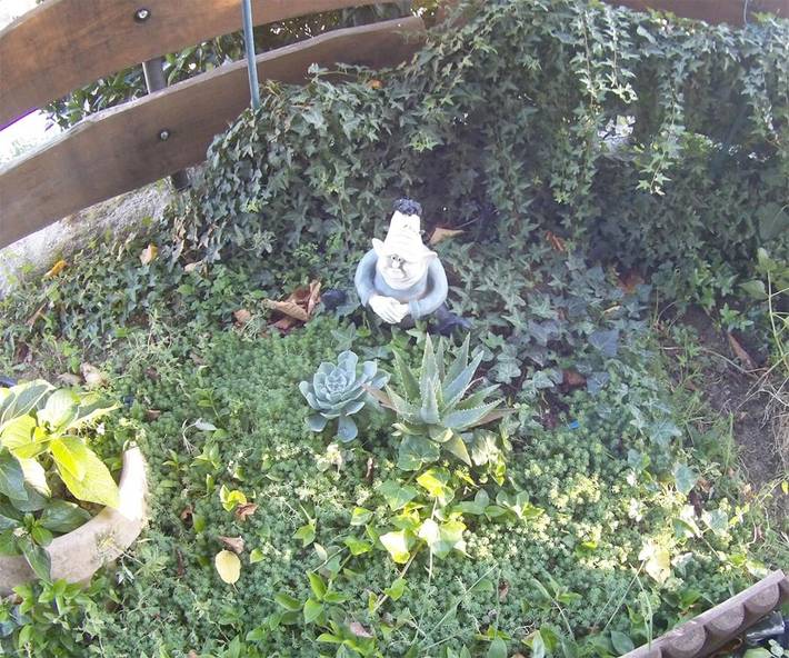 Apartamento de vacaciones para 4 personas, con jardín, Se admiten mascotas en Valle del Tiétar - 4