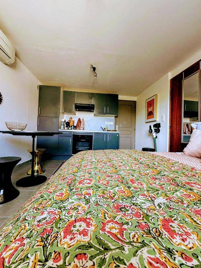 Appartement entier, One-Bedroom Apartment in Corte, Parc naturel régional de Corse