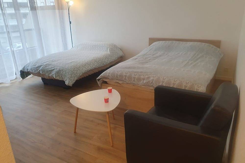 Entire apartment, Studio, Centre-ville, Ge 5km in Annemasse, Saint-Julien-en-Genevois region