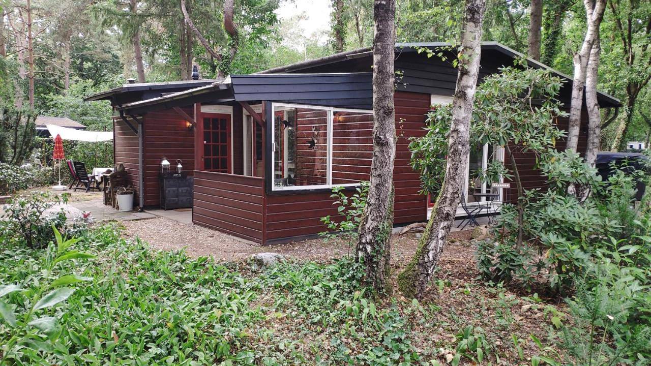 Bosbungalow de Eekhoorn in Nunspeet, Veluwe