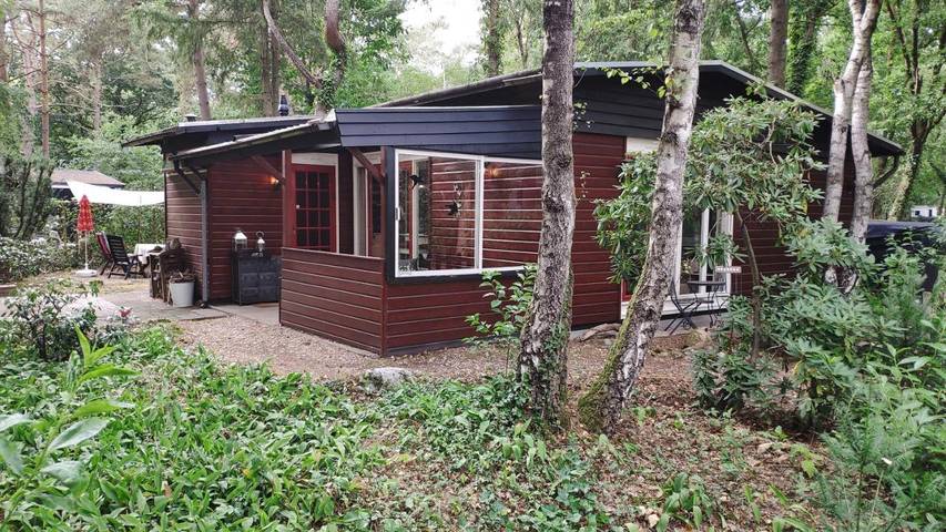 Appartement voor 4 personen, with Terras and Tuin as well as Kinderzwembad and Zwembad in Nunspeet