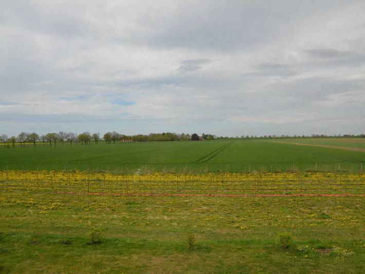 Ganze Ferienwohnung, Ferienwohnung Rheiderland 25186 - Ferienwohnung Rheiderland in Ditzumerverlaat, Bunde