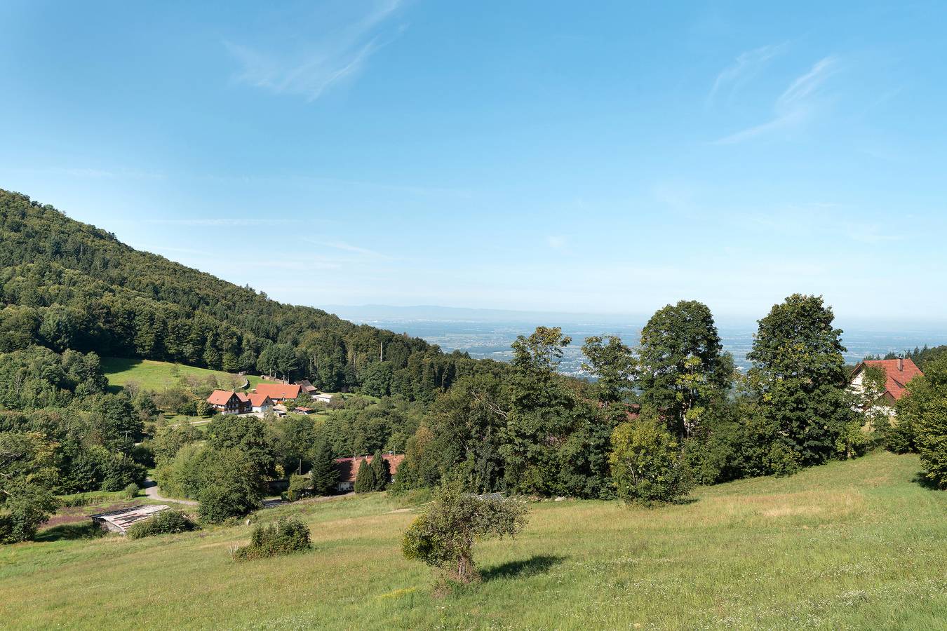 Ganze Wohnung, Apartment 'Weitblick' mit Bergblick und Wlan in Sasbachwalden, Mittlerer Schwarzwald