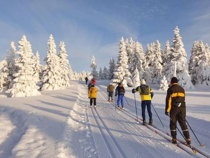 Ferienhaus für 5 Personen, mit Balkon und Garten sowie Ausblick, mit Haustier am Nationalpark Böhmerwald - 3