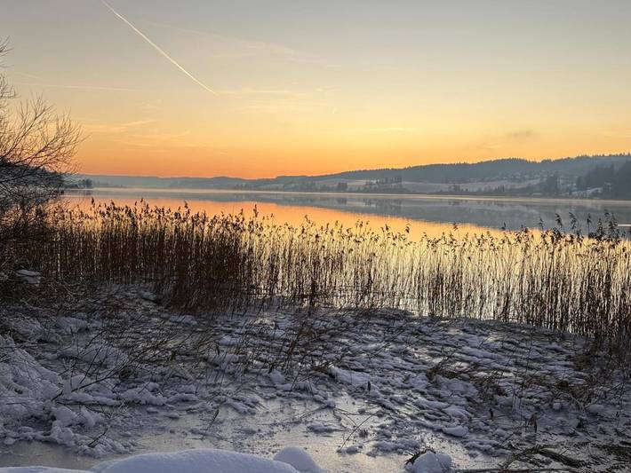 Gîte pour 4 personnes, avec sauna et vue ainsi que jardin et vue sur le lac, animaux acceptés à Oye-et-Pallet - 4