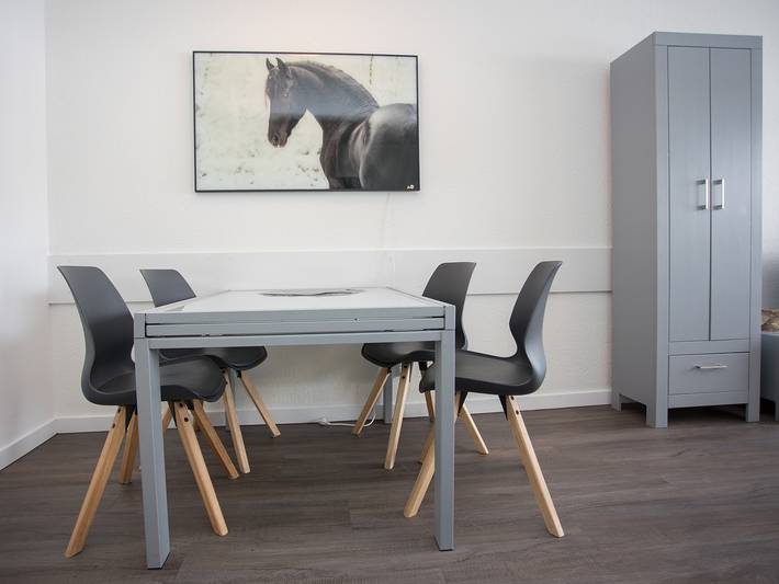 Ferienhaus für 5 Personen, mit Terrasse und Balkon/Terrasse in Winterberg - 4