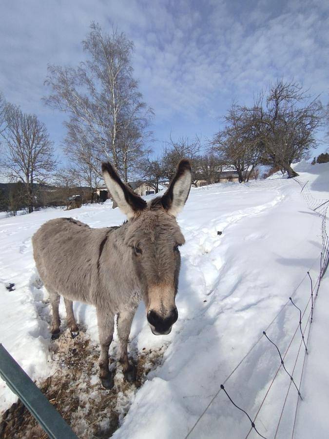 Casa de vacaciones para 14 personas, con jardín y vistas - 1