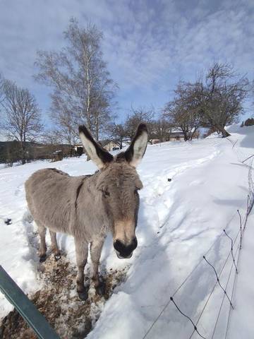 Location de vacances pour 14 personnes, avec vue et jardin à Lans-en-Vercors