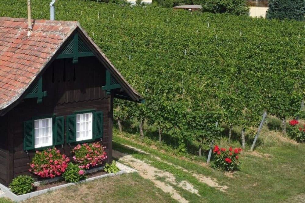 Ganze Wohnung, Kellerstöckl Petra in Deutsch Schützen, Südburgenland