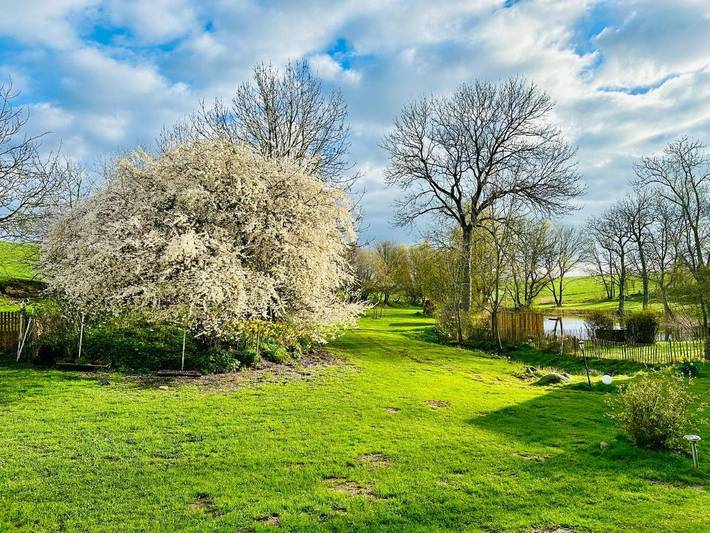 Ferienwohnung für 2 Personen, mit Terrasse und Garten sowie Seeblick und Ausblick in Gremersdorf - 3