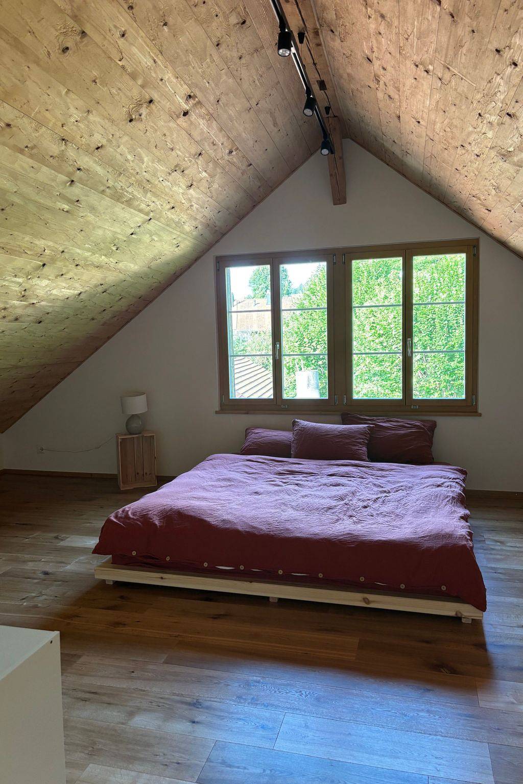 Entire holiday apartment, Holiday apartment for 7 people in Canton of Zürich