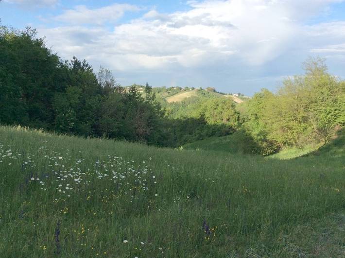 Location de vacances pour 2 personnes, avec piscine ainsi que terrasse et jardin dans Lesignano De Bagni - 4