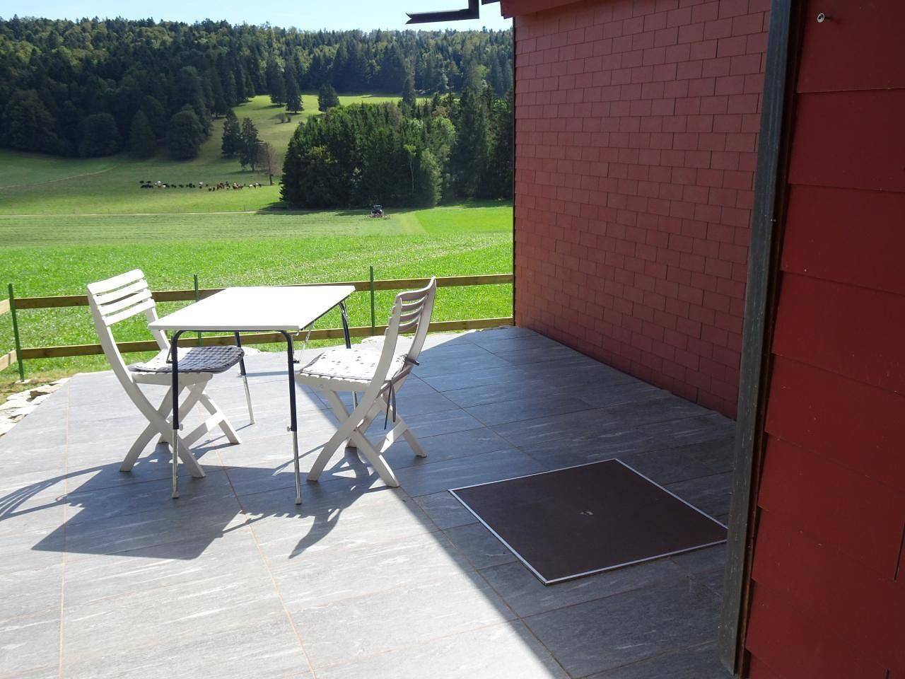 Chalet Désir Mini Winterg., garden, large terrace in District des Franches-Montagnes