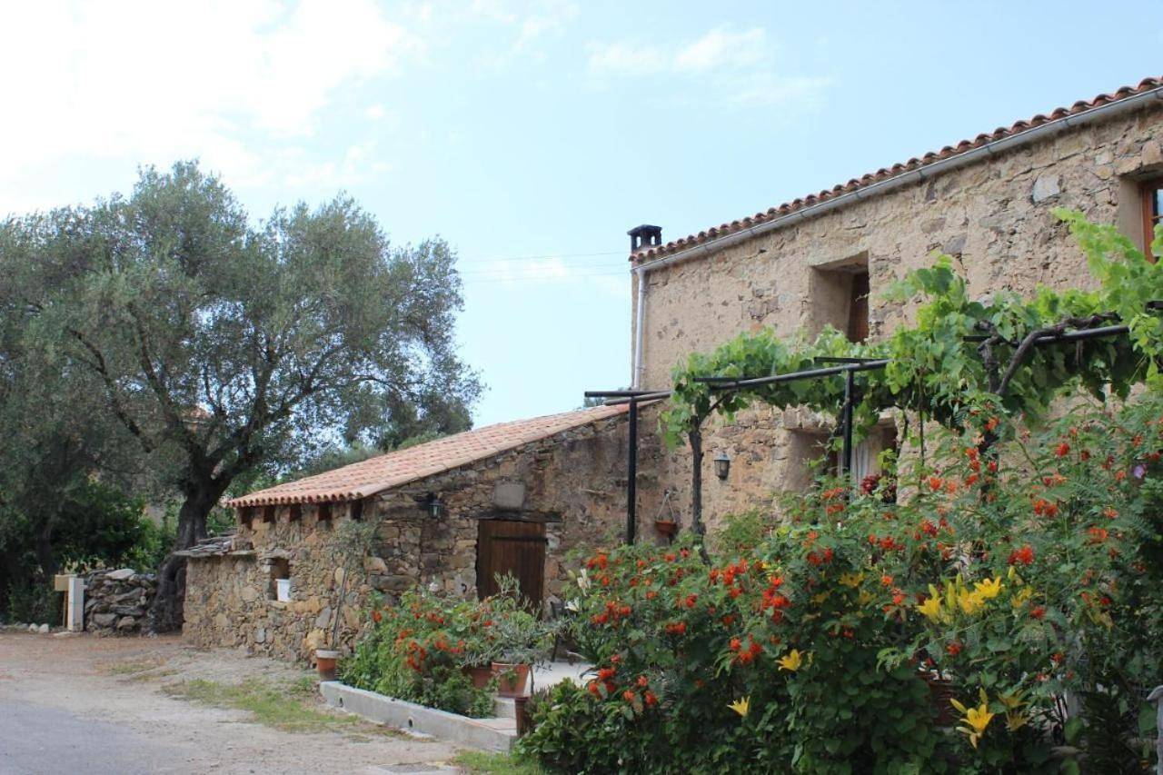 Auberge Pietra Monetta in Palasca, Région de Calvi