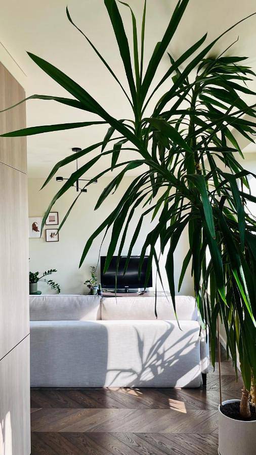 Gîte pour 4 personnes, avec balcon à Vilnius - 2
