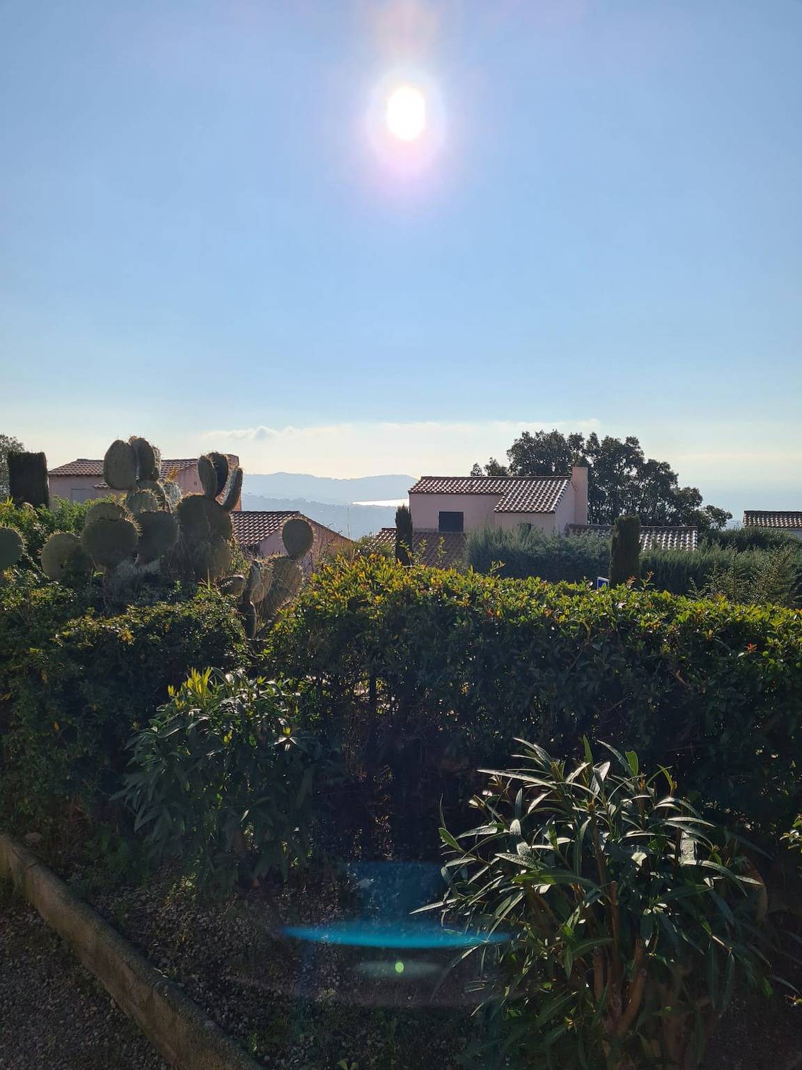 Apartamento entero, Apartamento de vacaciones para 4 personas con terraza in La Croix-Valmer, Region de Draguignan